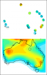 A graphical representation of the way atmospheric models can be used to “fill in the gaps” left by sparse measurement networks. The circles represent locations in Australia where atmospheric pollutants are measured, and the colored background shows model-predicted pollution over the whole region. Graphic by Jenny Fisher, University of Wollongong.