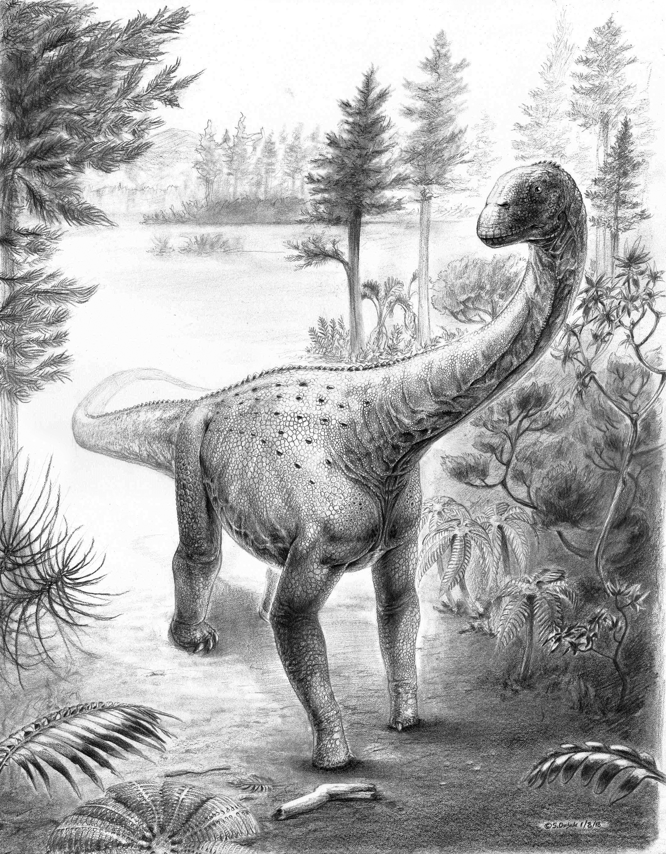 Sketchbook of a Wannabe Paleoartist  Dinosaur illustration, Dinosaur  sketch, Dinosaur art