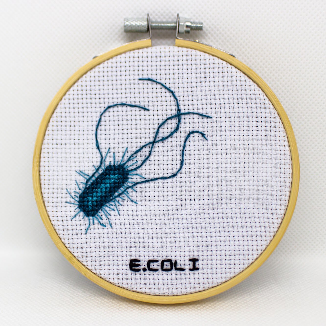 E.-coli