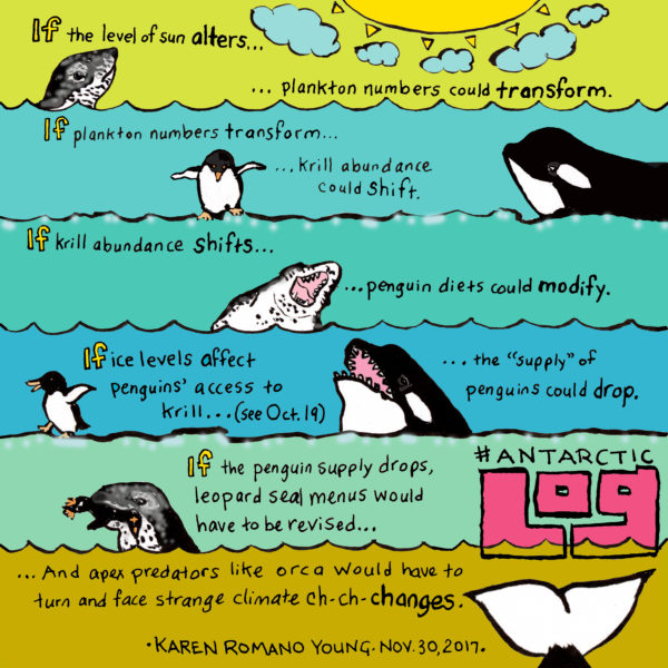 Drawing showing water, penguins, seals, and orcas, explaining that a change in sun/temperature would affect krill numbers, which could deplete penguin populations, changing the diets of seal and orca predators