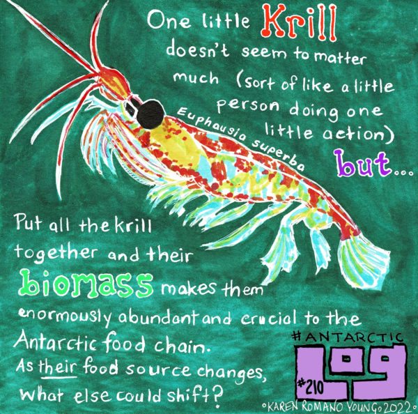 Drawing of a krill explaining how one little krill doesn't seem to matter much, but put them all together and they're a crucial part of the Antarctic food chain.