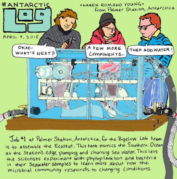 Drawing of three scientists over a tank that mimics the water movement in the ocean and lets them see how microbial communities respond to changes