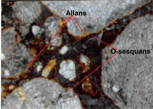 Micrograph showing sand grains with compound cutans: inner allophane (allans) and outer organo-sesquioxide cutans (O-sesquans) (250X).