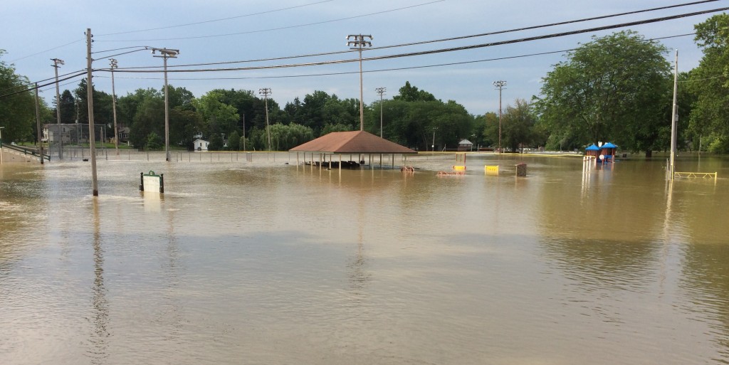 Flooded Bachmayer Park in the River Raisin floodplain, Blissfield, Michigan (June 29, 2015).