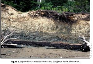 Outcrop of the Presumpscot Formation in Brunswick, Maine. Photo source: Maine Geological Survey.