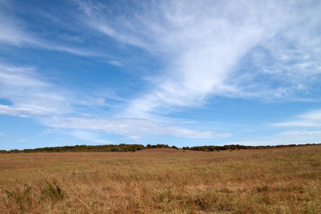 The best thing about the prairie sometimes, is the sky above it. Near Pawhuska- Dan's pic.