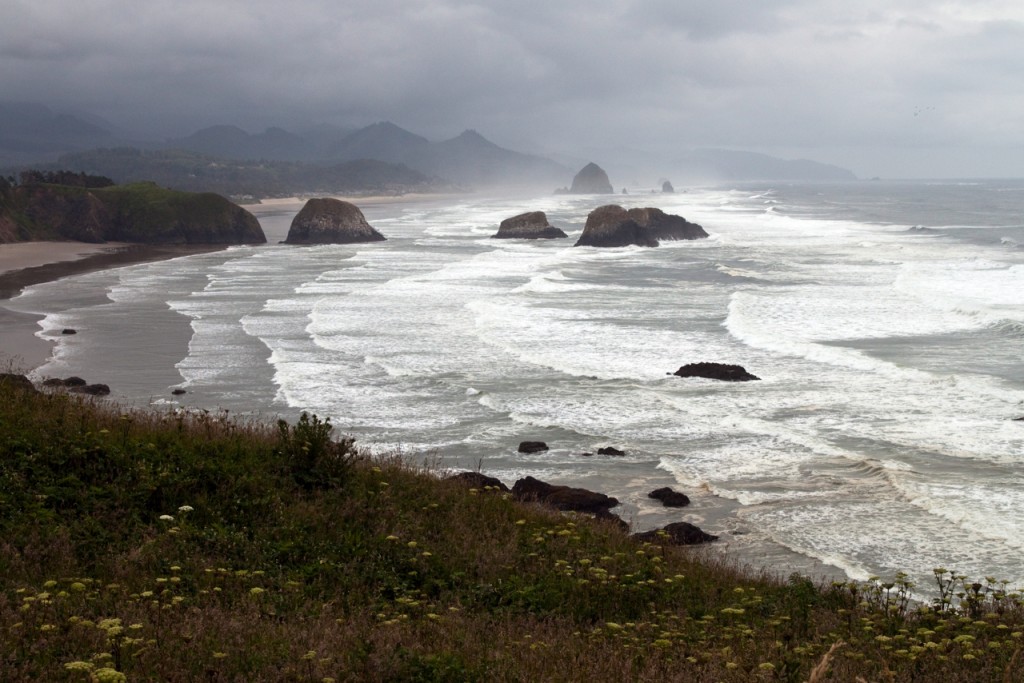 The greatest natural disaster in american history will happen when the Cascadia Subduction zone rips and a magnitude 9 quake hits the Pacific Northwest. Huge tsunamis will change the Oregon coast here forever. (Dan's photo at  Ecola State Park, Oregon)