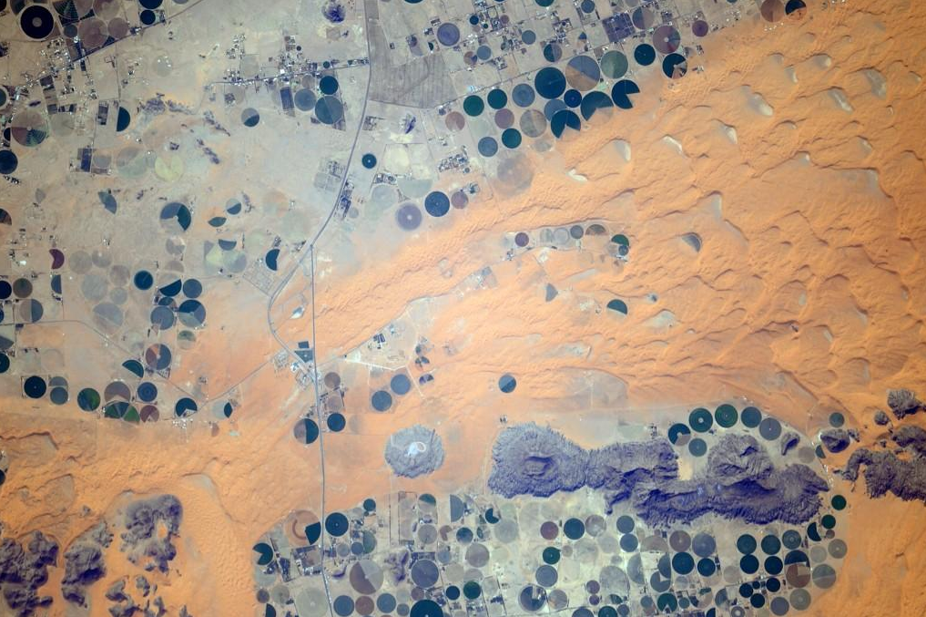 Sand dunes reclaiming farm land near the Red Sea. (From @astro_reid)
