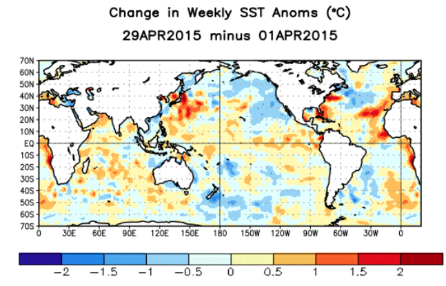 Equatorial sea surface temperatures have warmed off the coast of South America, which is typical of a developing El Nino. Notice a cooling trend in the Eastern Pacific. Could the 